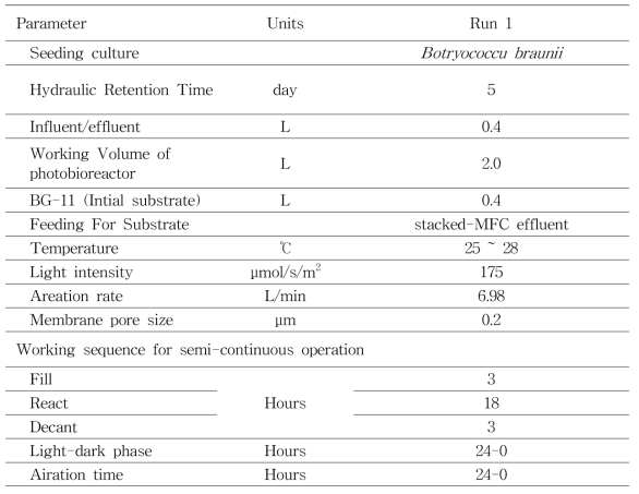 Photoautotrophic reactor의 운전조건