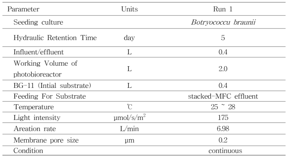 본 처리시스템 중 photobioreactor의 운전조건