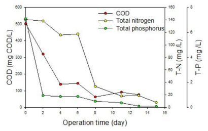 stacked-MFC+photobioreactor 처리시스템의 오염물질 농도