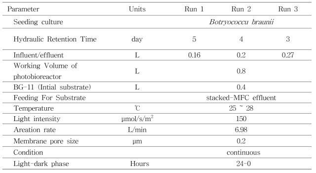 본 실험 중 photoautotrophic 반응조의 운전조건
