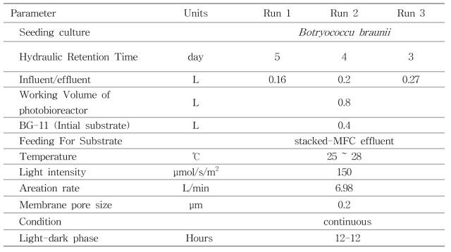 본 실험 중 mixotrophic 반응조의 운전조건