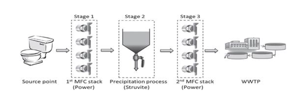 Schematic diagram of the 3-stage MFC/struvite extraction process system. The diagram also illustrates how this can be implemented in real life