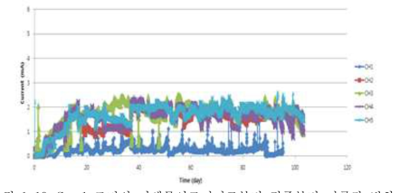 Set 1 조건의 미생물연료전지로부터 접종부터 전류값 변화