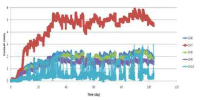 Set 2 조건의 미생물연료전지로부터 전류값 변화