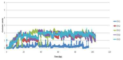 Set 3 조건의 미생물연료전지로부터 전류값 변화