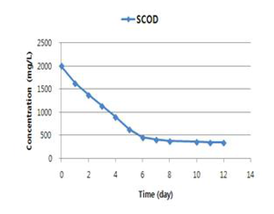 시간에 따른 순환배지의 SCOD 농도 변화