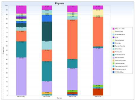 Phylum level의 미생물군집분석 결과 비교