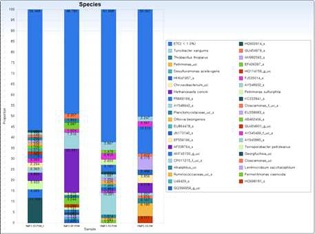 Species level의 미생물군집분석 결과 비교