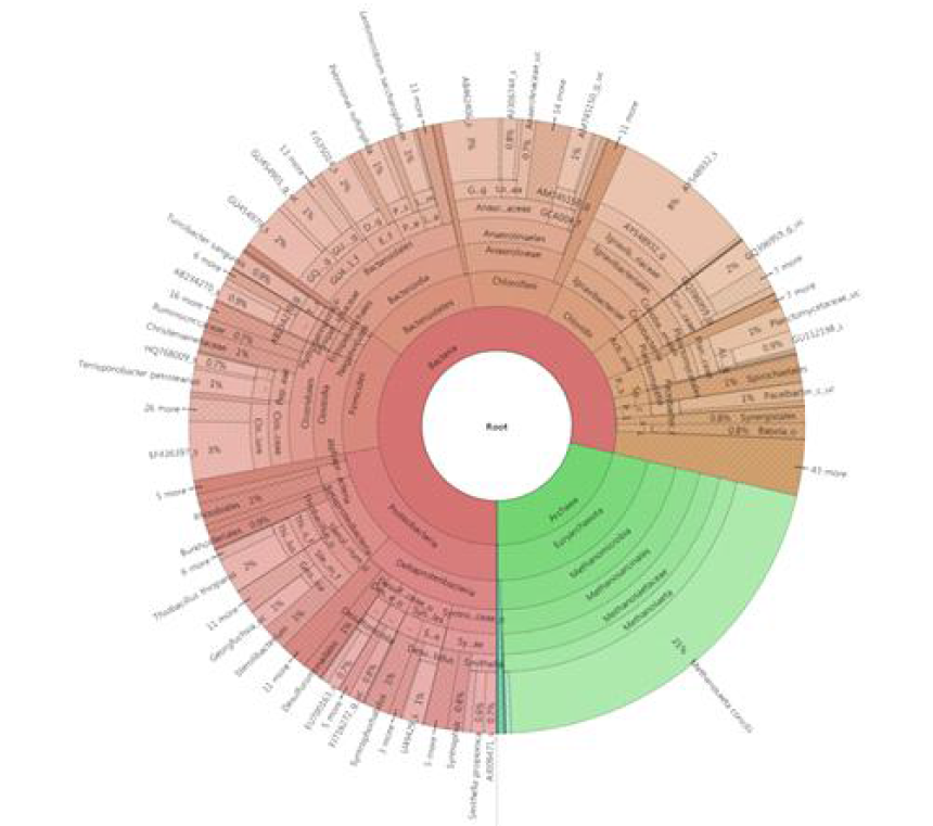 Krona 프로그램을이용한MFC 2의 phylum-class-order-family-genus-species 정량화결과