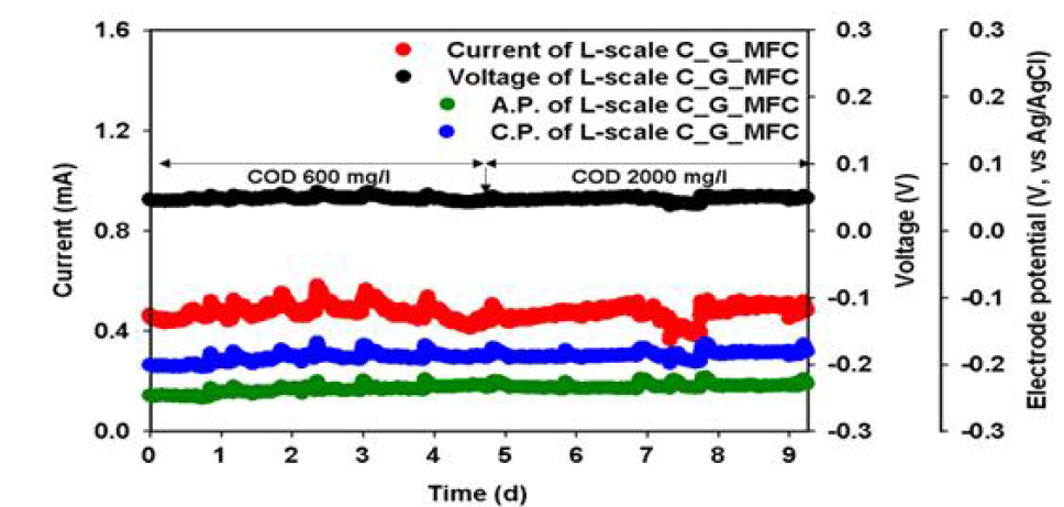 COD 기준 600 mg/l와 2000 mg/l 조건하에서의 C_G_MFC의 전류 생산