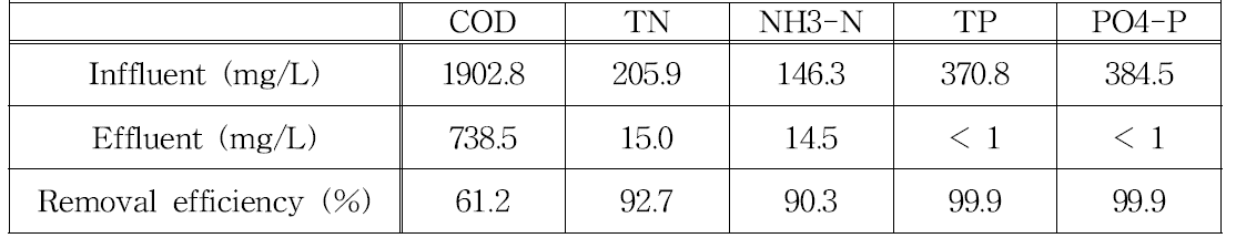 C_G_MFC의 수처리 효율 평가 (COD 기준 2000 mg/l)