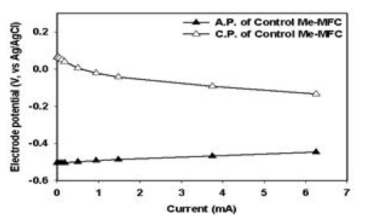 대조군 Me-MFC의 전극 전위 그래프 (COD 기준 600 mg/l)
