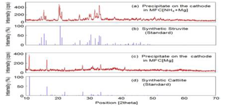 L-scale C_G_MFC에서 생성된 struvite의 XRD 스펙트럼 참고문헌 결과 (Hirooka and O. Ichihashi, 2013)