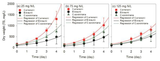 시간에 따른 미세조류 종, 초기 질소 농도 별 건조중량 변화