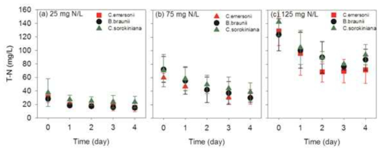 시간에 따른 미세조류 종, 초기 질소 농도 별 질소 농도 변화
