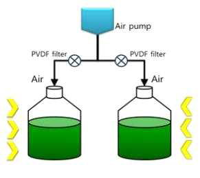 Schematic diagram of the batch experiments