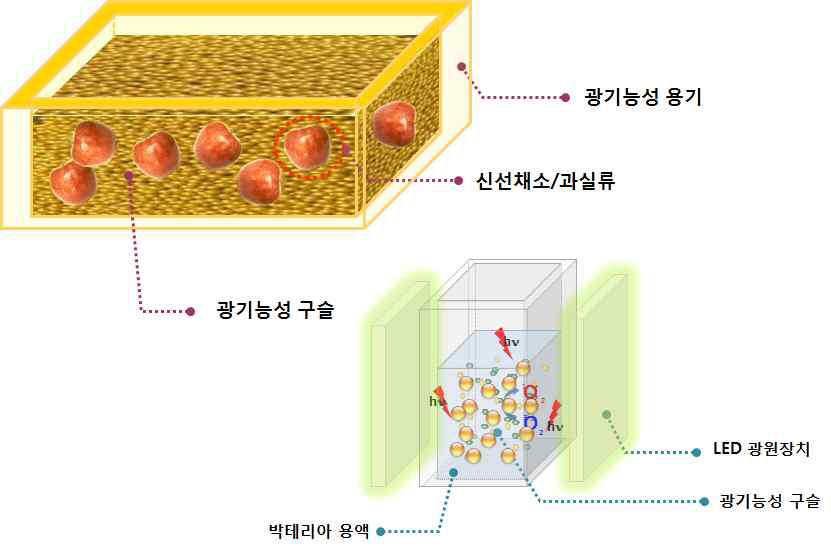 구슬형 광기능성 소재를 이용한 식중독 유발 오염 균주 사멸 실험 모식도