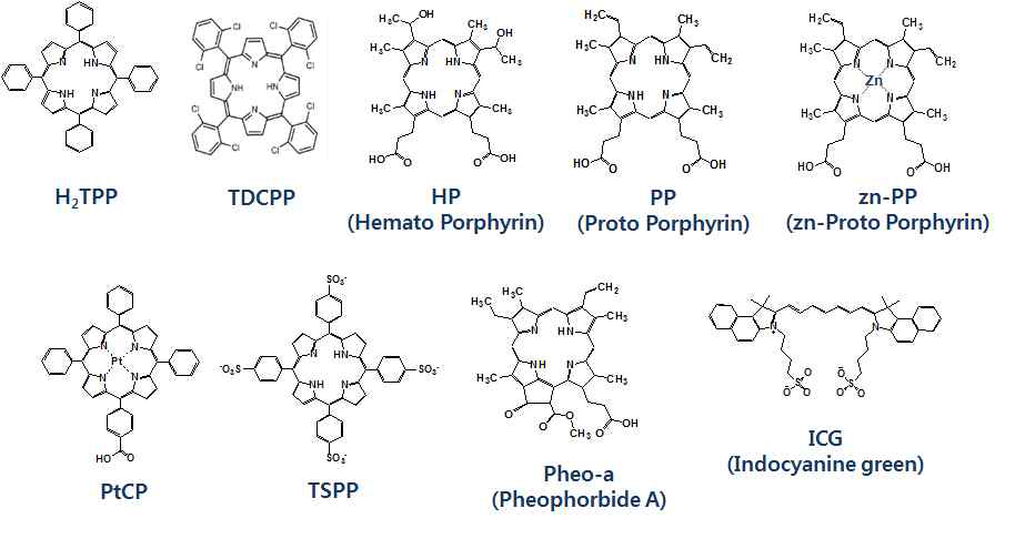 포르피린 계열 9종의 분자구조