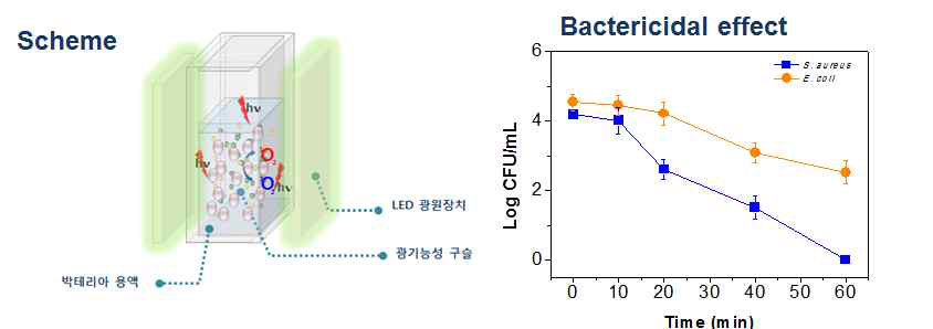 광기능성 고분자 구슬을 이용한 그램음성균주와 양성균주의 사멸 효능