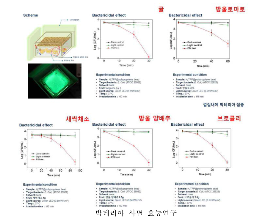 광기능성 구슬을 이용하여 Air조건에서 신선채소 대상