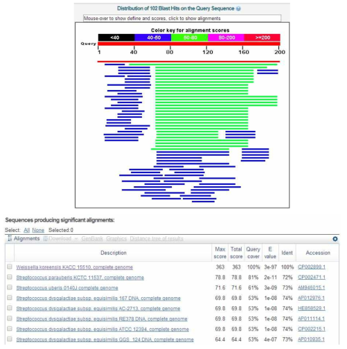 The results of blastn search with a membrane protein gene from Weissella koreensis KACC 15510