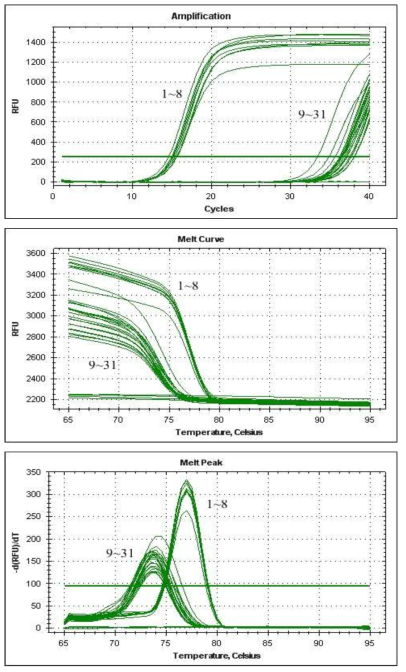 Real-time PCR of a membrane protein gene from Weissella koreensis using species-specific WK06F/R primer set. lanes 1-31 listed in Table 1. Lane 32, Distilled Water. The melt-peak results revealed amplified product at a melting temperature (Tm) of approximately 7 7℃