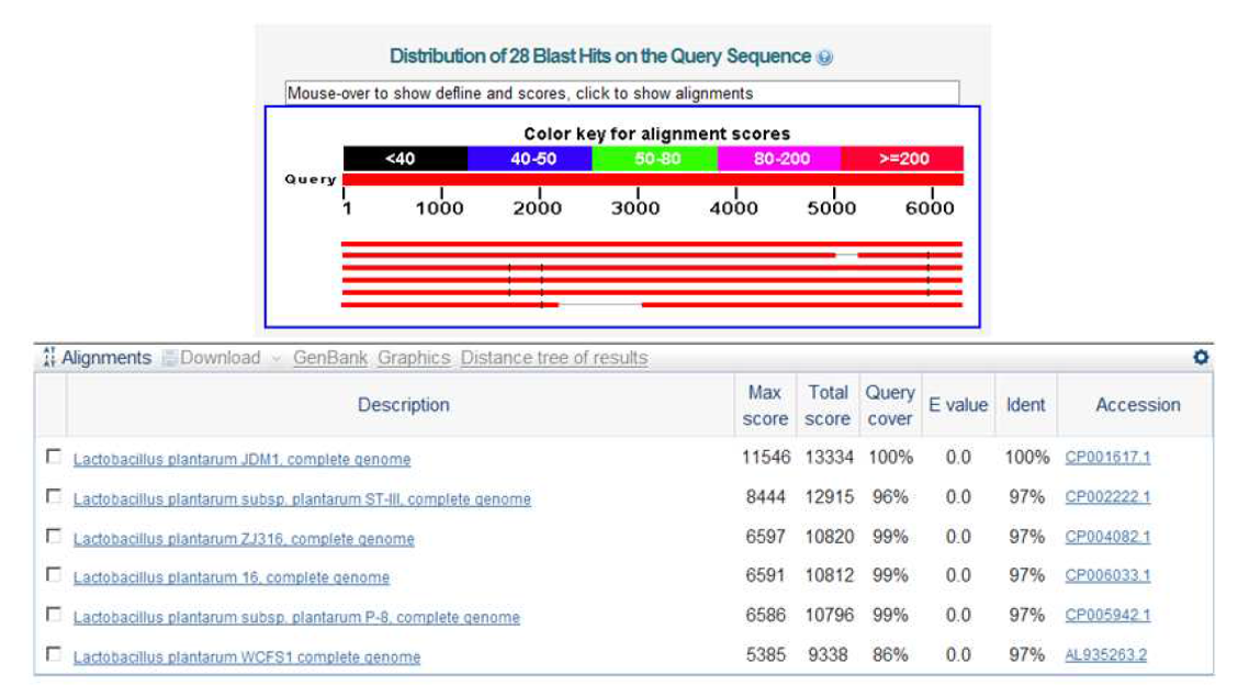 The results of blastn search with a hypothetical protein gene from Lactobacillus plantarum JDM1