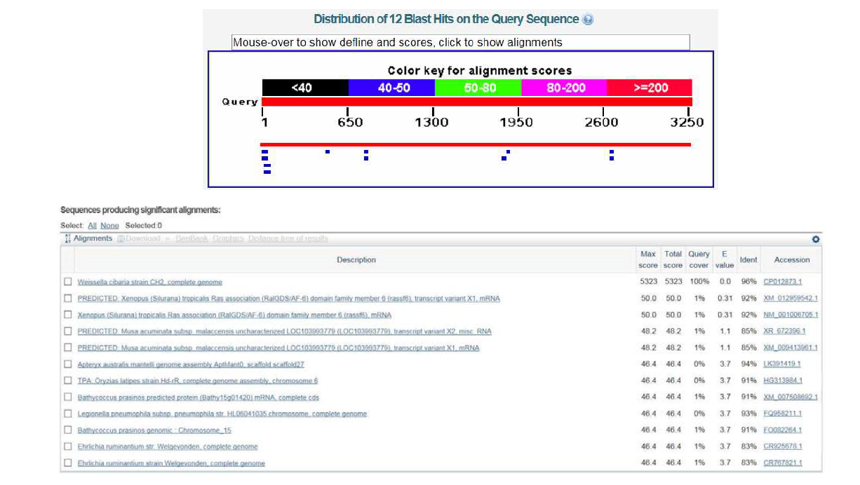 The results of blastn search with a putative outer membrane protein gene from Weissella cibaria KACC 11862