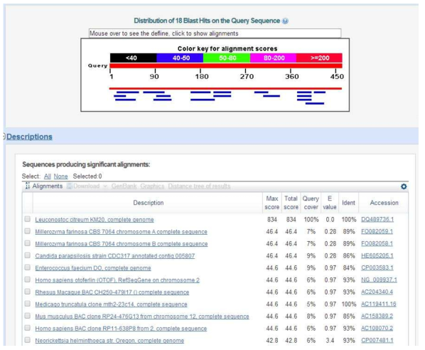 The results of BLASTN search with a hypothetical protein gene from Leuconostoc citreum