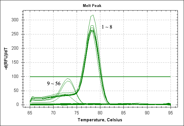 SYBR-Green melting curve analysis demonstrating the specificity of the Lci142F/R assay to detect the hypothetical protein gene of Leuconostoc citreum genomic DNA. Samples 1-55 listed in Table 1. Sample 56, Distilled Water (negative control).