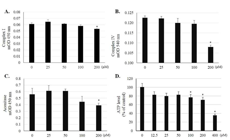 The effects of formaldehyde on mitochondrial enzyme activity and ATP generation in SK-N-SH cells. SK-N-SH cells were treated with 25-200 μM formaldehyde or were left untreated for 12 h to detect Complex I (A), Complex IV (B), and aconitase (C) activities. Cell lysates were used to study Complex I activity, but freshly isolated mitochondria were used to assay Complex IV and aconitase activities. We also measured ATP levels in cells treated with 12.5-+400 μM formaldehyde and compared these to the levels in untreated cells. Percentage of ATP level was determined in 12-h treated cells (D). Data are presented as mean ± S.D. of three independent experiments. Asterisk (*) denotes significant differences relative to control (p < 0.05)