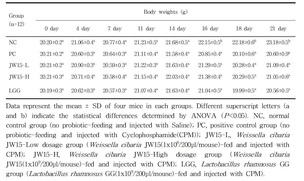 Effect of Weissella cibaria JW15 on the body weight of immunosuppressed BALB/c mice induced by cyclophosphamide