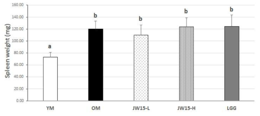 Effect of Weissella cibaria JW15 on spleen weights of aged mice. Data represent the mean ± SD of four mice in each group