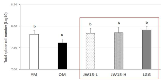 Effect of Weissella cibaria JW15 on the Splenocyte counts in aged mice. Data represent the mean ± SD of four mice in each group. Different superscript letters (a, and b) indicate the statistical differences determined by ANOVA (P <0.05)