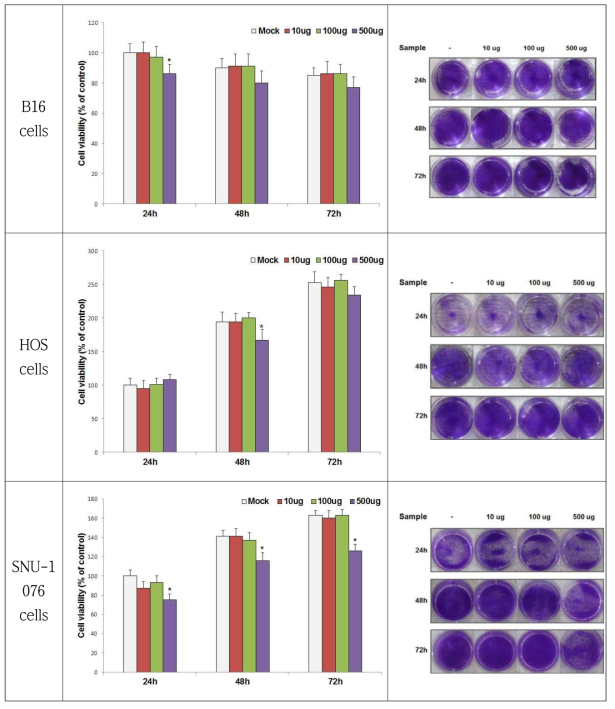 Cytotoxicity of W. cibaria against Melanoma(B16), sarcoma(HOS)), and SNU-1076 cells
