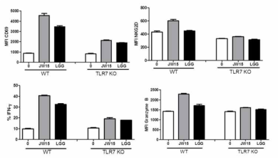 Effect of TLR7 deficiency on NK cell activation by W. cibaria JW15