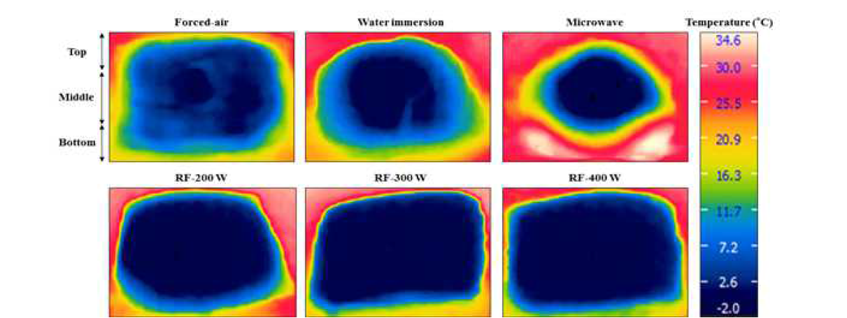 Internal thermal distributions within pork loin after RF, forced-air, water immersion, and microwave tempering captured by an infrared camera