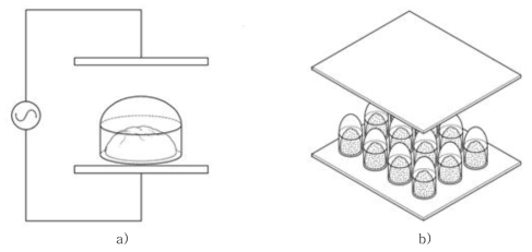 냉동만두(a)와 냉동딸기(b)에 대한 등전위면 형태의 전극