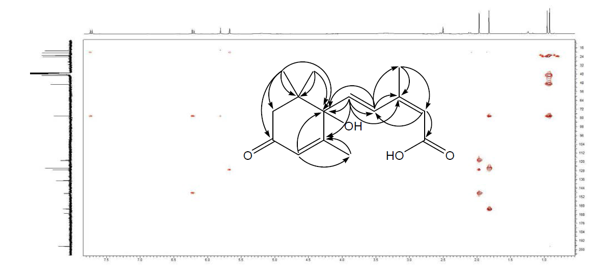 HMBC spectrum of compound 1 in DMSO-d6
