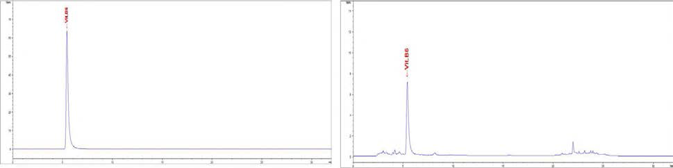 비타민 B6의 표준품(좌) 및 FAPAS breakfast cereal(우) 크로마토그램
