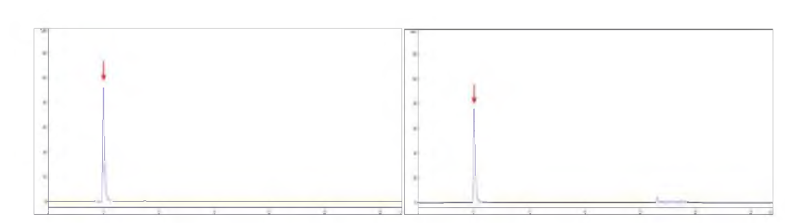 비타민 B6의 표준품 (좌 ) 및 FAPAS liquid vitamin supplement(우) 크로마토그램