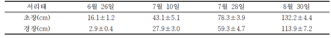 2016년 경운고추 + 2017년 무경운 완두콩 + 서리태의 생육