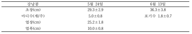 2016년 경운고추 + 2017년 무경운 완두콩 + 강낭콩의 생육