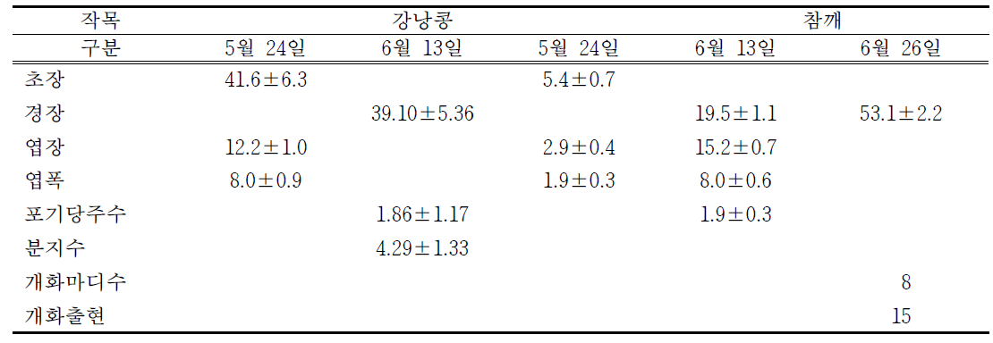 2016년 경운 고추 + 2017년 무경운 강낭콩, 참깨의 생육