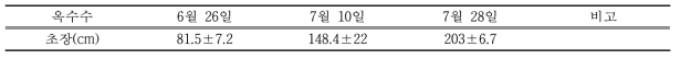 2016년 경운 고추 + 2017년 무경운 완두콩 + 옥수수의 생육