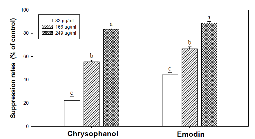 Chrysophanol과 emodin 처리에 의한 도열병균 저지력(3 DAT)