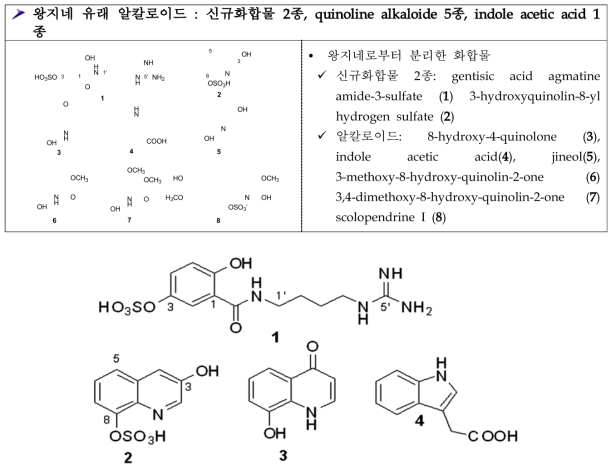 왕지네 유래 알칼로이드(신규화합물 2종, quinoline alkaloide 5종, indole acetic acid 1종)및 항혈전 유효물질 4종