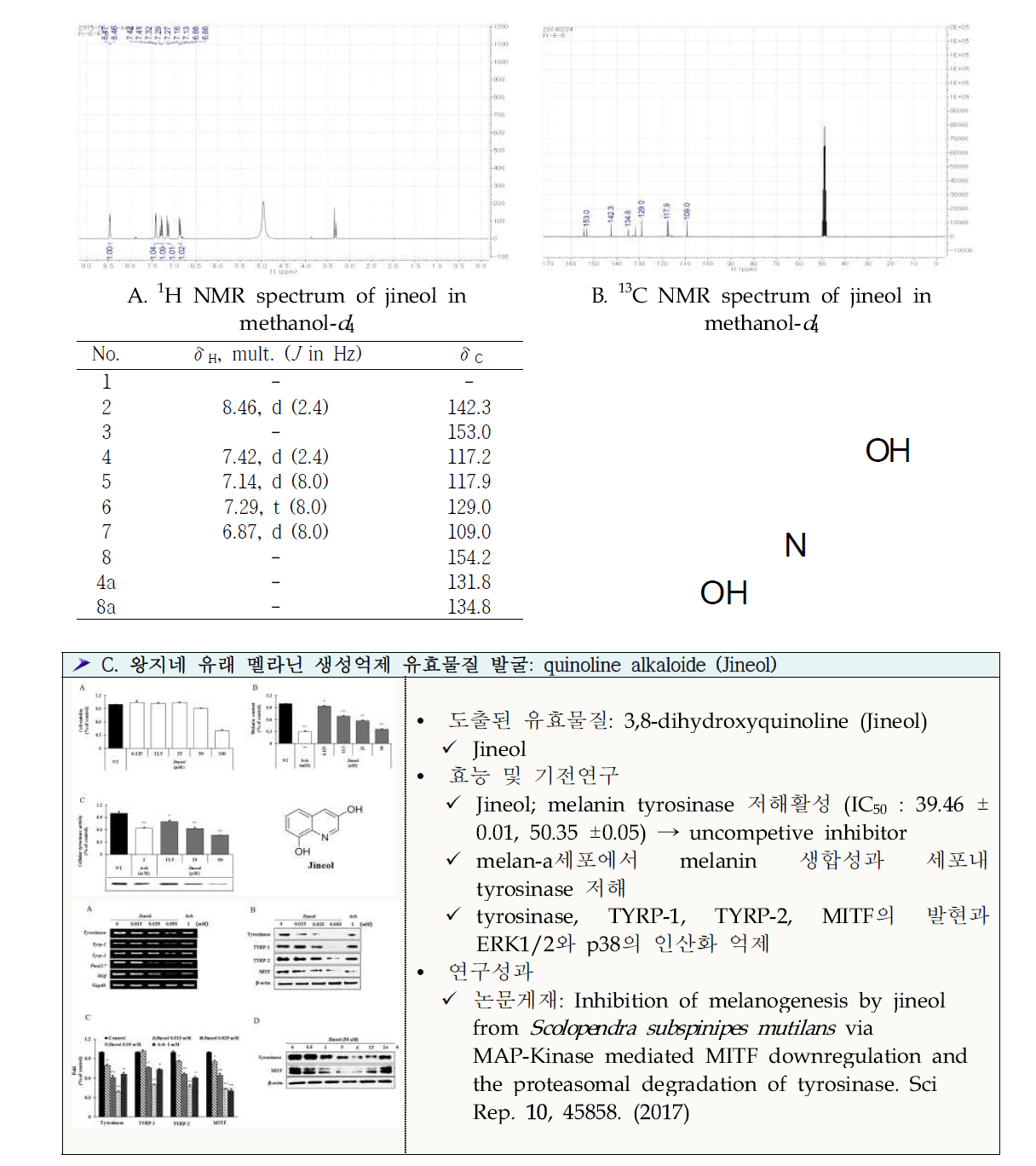 왕지네 유래 멜라닌 생성억제 유효물질 발굴. A. 1H NMR spectrum of jineol in methanol- d4,, B. 13C NMR spectrum of jineol in methanol- d4,, C. 왕지네 유래 멜라닌 생성억제 유효물질