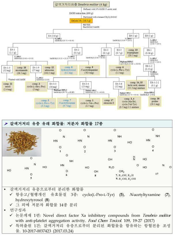 갈색거저리 유충 유래 화합물 분리과정 및 분리한 화합물