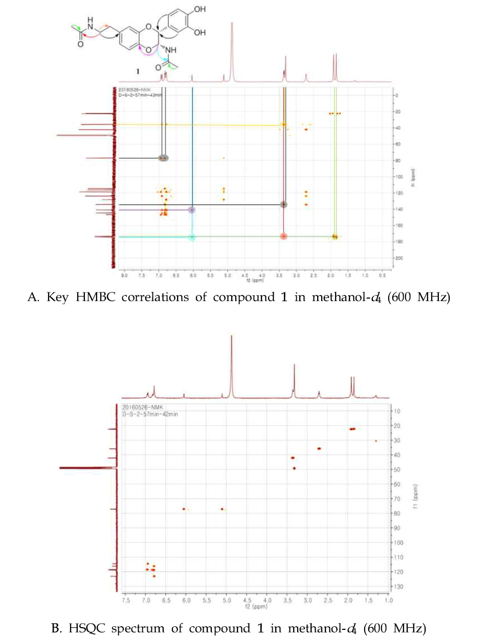 HMBC data에서 H-6’(δH 6.79), H-2’(δH 6.94)/C-2(δC 77.2)의 상관관계 및 CH3(δH1.90), H-3(δH 6.03)/CO(δC 174.3)의 상관관계(A) C-3(δH 6.03)/C-4a(δC 143.4) 상관관계(B)